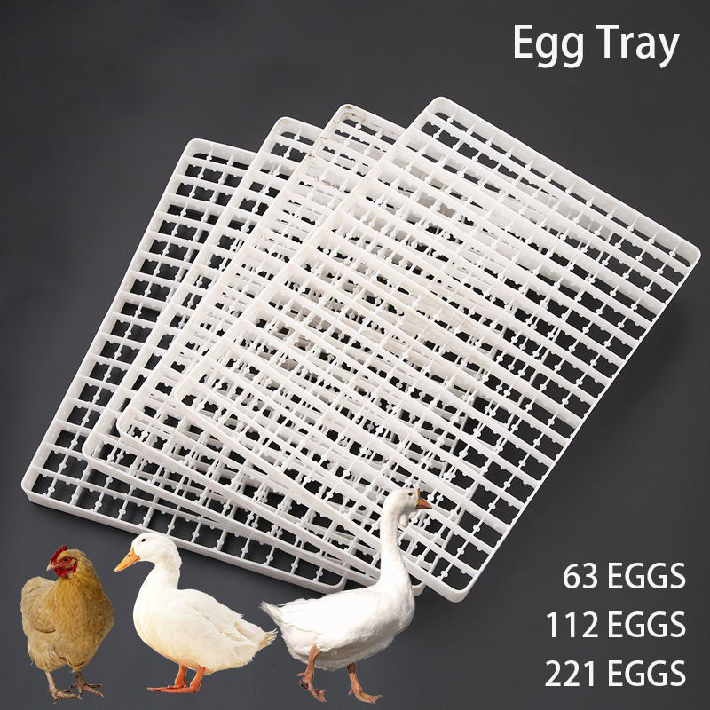 Quail Egg Incubator - 1 Stück Eier ablage für Inkubator