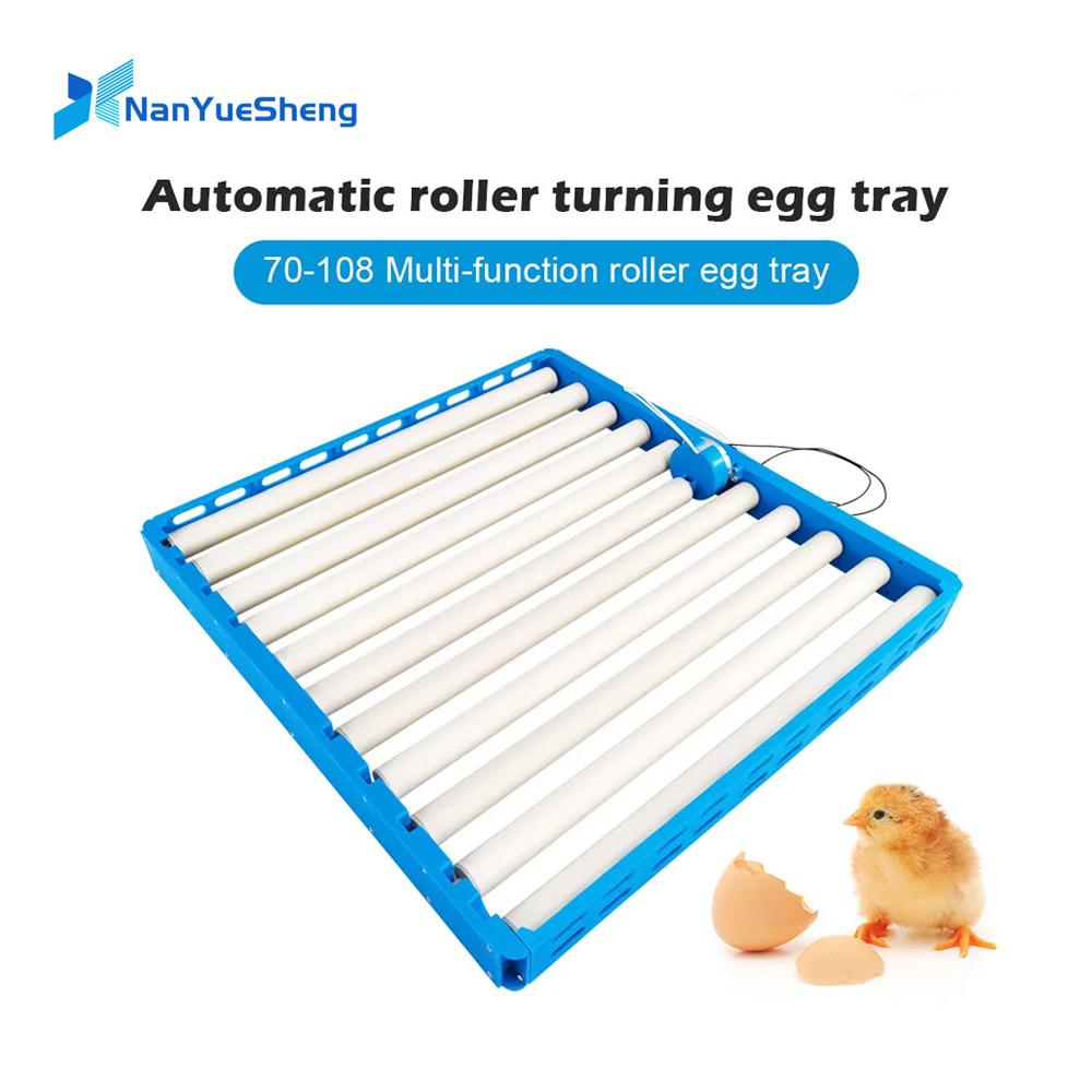 Automatischer 360-Grad-Dreh-Ei – Quail Egg Incubator Bewertung und Preis