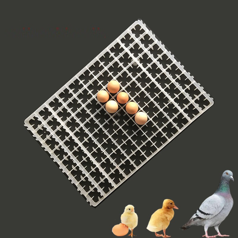 1 Stück Eier ablage für Inkuba – Quail Egg Incubator Bewertung und Preis