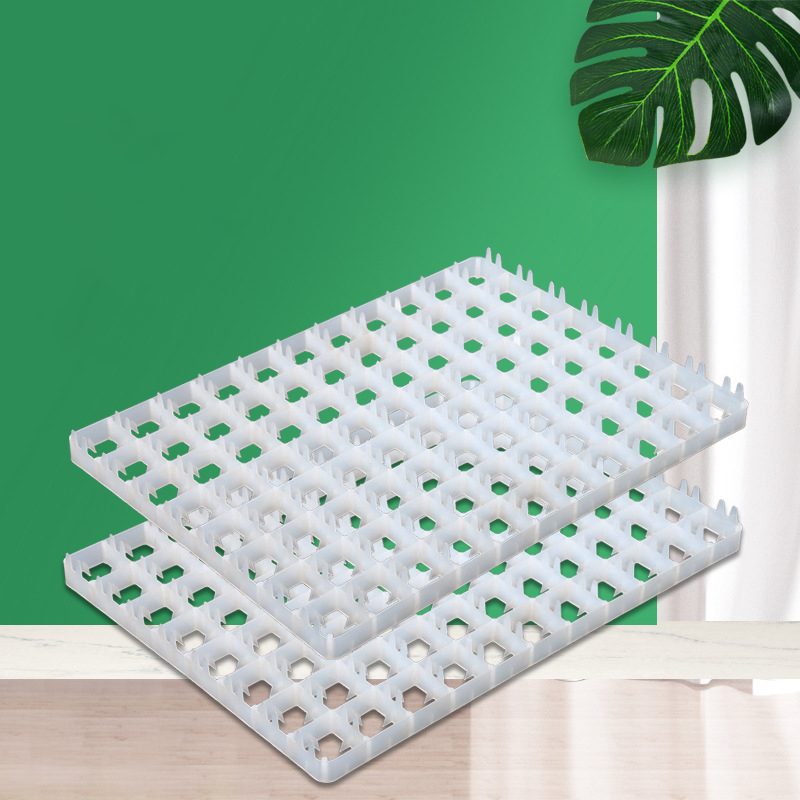 1 Stück Eier ablage für Inkuba – Quail Egg Incubator Bewertung und Preis