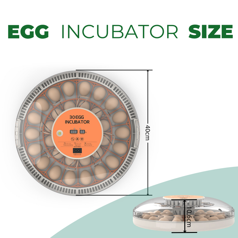 STLF30 Eier-Inkubator für den  – Quail Egg Incubator Bewertung und Preis