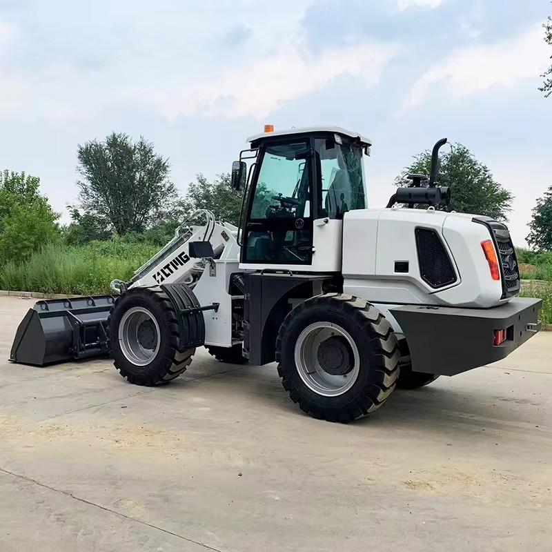 2,5-Tonnen-Mini-Radlader mit 1 – Farming Agriculture Project Bewertung und Preis