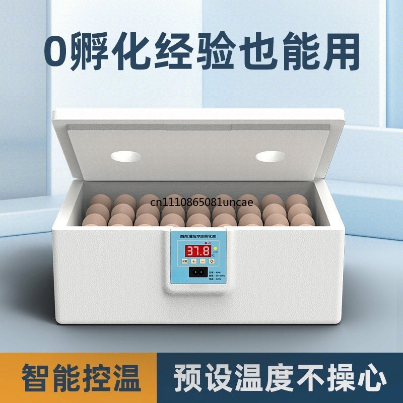 Intelligenter Brutkasten mit k – Quail Egg Incubator Bewertung und Preis