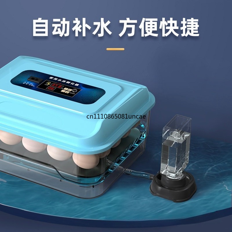 Intelligenter Brutkasten mit k – Quail Egg Incubator Bewertung und Preis