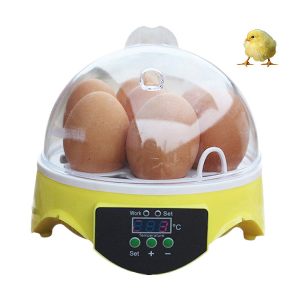 7-Eier-Geflügelbrutkasten mit  – Quail Egg Incubator Bewertung und Preis