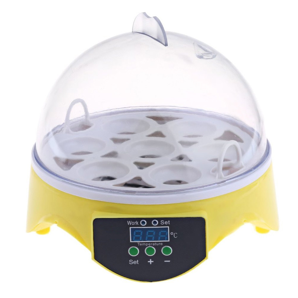 7-Eier-Geflügelbrutkasten mit  – Quail Egg Incubator Bewertung und Preis