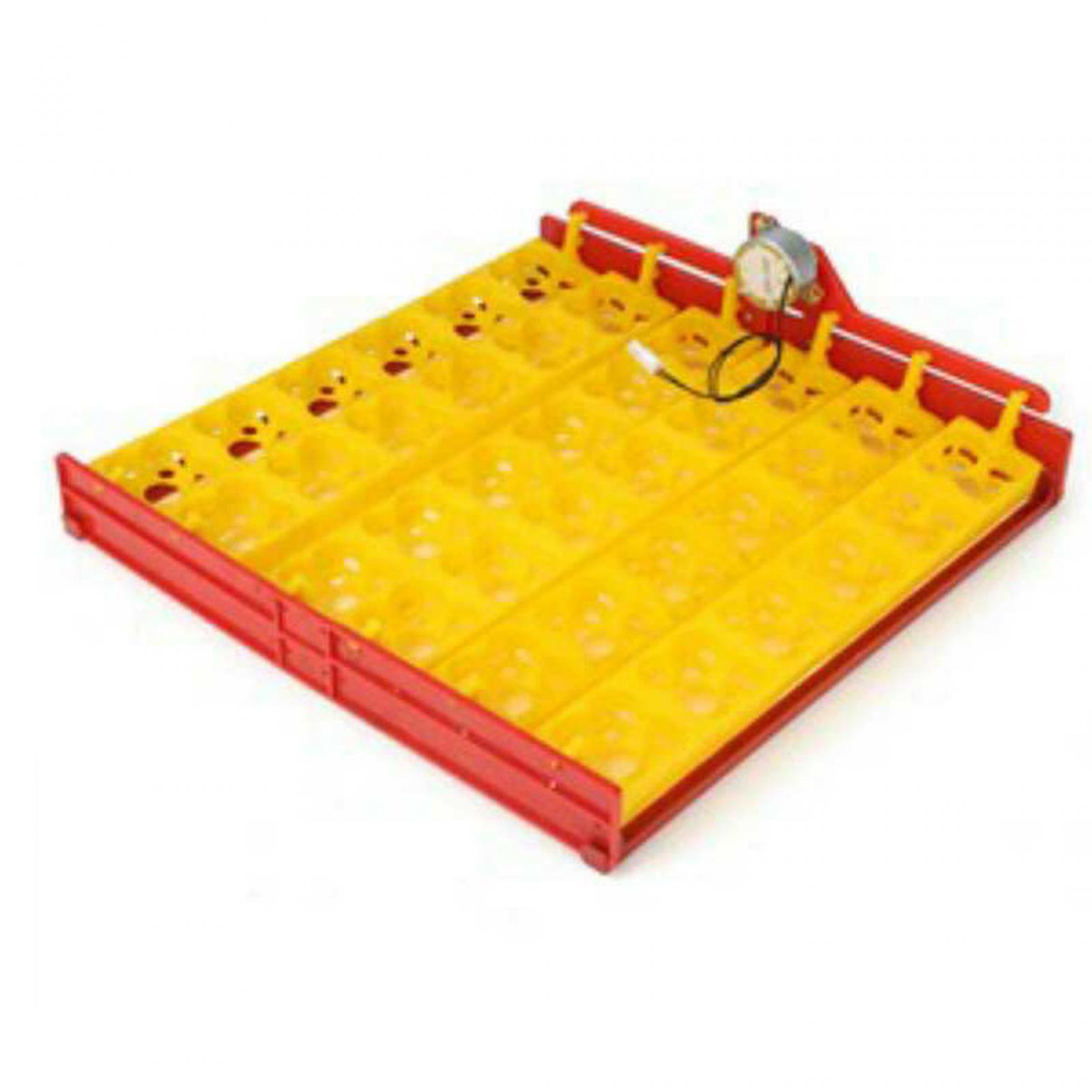 Eierinkubator-Schale aus Kunst – Quail Egg Incubator Bewertung und Preis